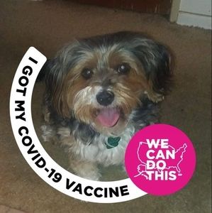 Meet your Posher, Gwendolyn